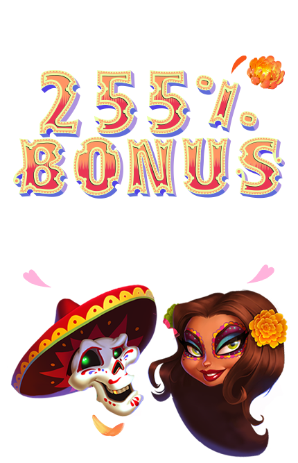 24Bettle 24Bettle Casino